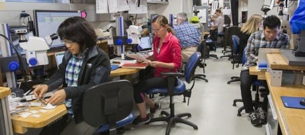 Scientists on the expedition identify fossils in sediment cores.