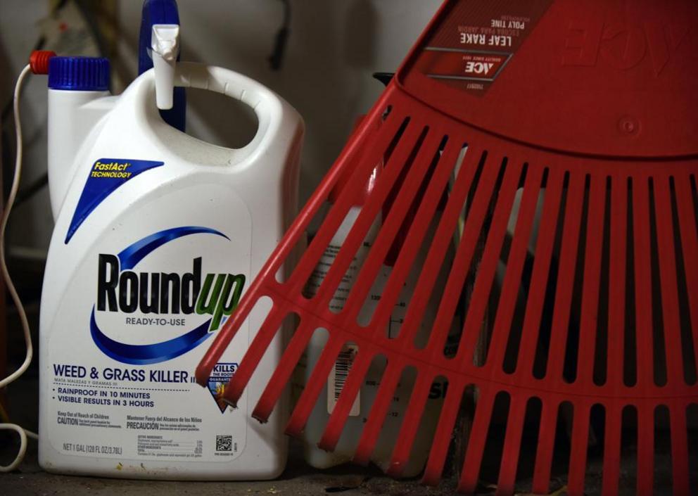 A container of Roundup weed killer in a Florida garage in 2019. Photo by Paul Hennessy/NurPhoto via Getty Images