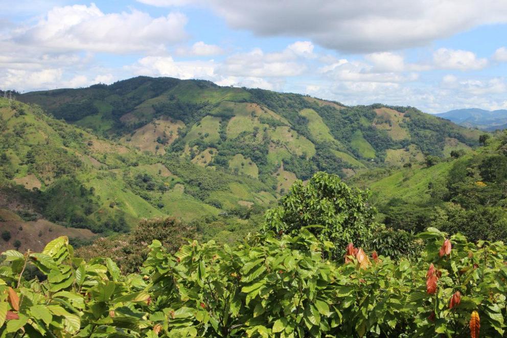 Views from a cacao farm in Santander, Colombia.