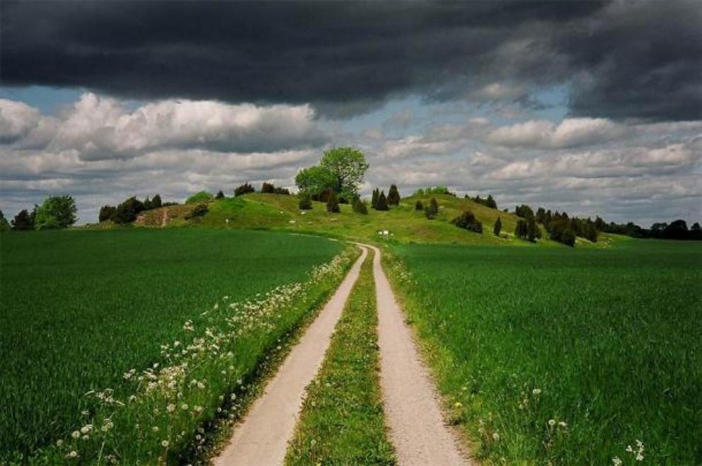 The Valsgärde burial ground in Uppland, Sweden, was discovered in 1929. Archaeologists have uncovered a wide range of burials including 15 boat burials.