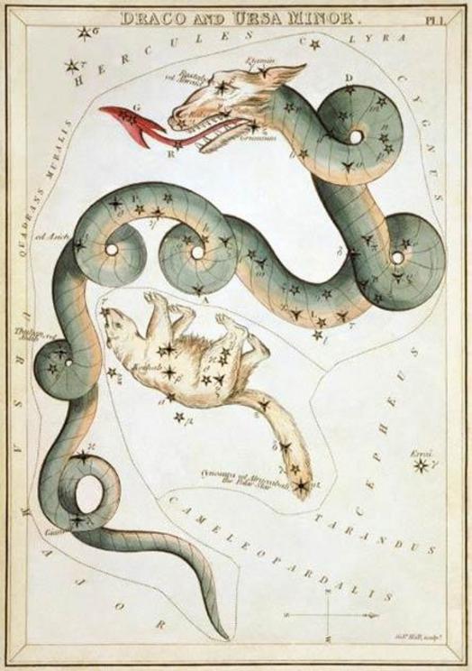 The constellation of Draco shown as a serpent with the star Eltanin on the creature’s forehead.