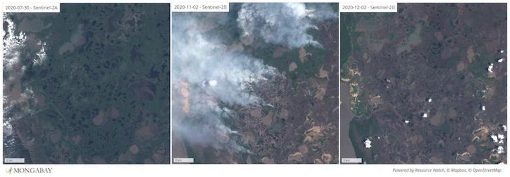 Satellite imagery shows fires spreading across Pantanal Matogrossense National Park in early November 2020.