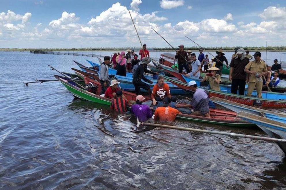 Local fishermen and villages work alongside crew from YK-RASI to rescue a stranded adult Irrawaddy river dolphin from Melintang Lake in East Kalimantan during March 2020.