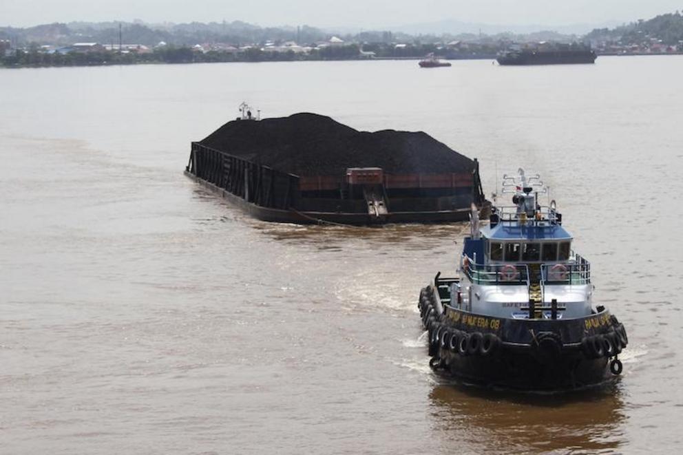 Coal barge on the main channel of the Mahakam river. These giant vessels now travel within river dolphin habitat and into narrow tributaries where they affect dolphin migration and feeding patterns.