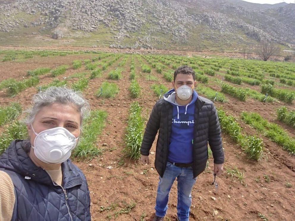 ICARDA Lebanon Genebank Manager Mariana Yazbek (left), says workers have continued to come to work on a rotating schedule to keep plants alive throughout the COVID-19 lockdowns.