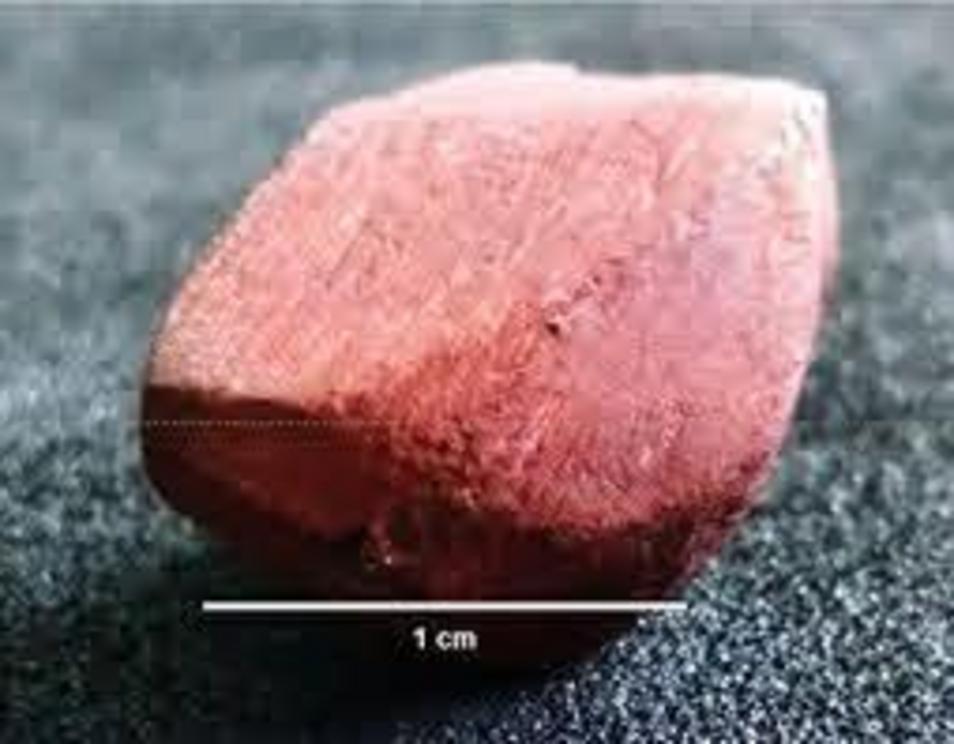 A tool used to paint with ochre, a natural clay pigment used by ancient Amazonian people to draw on rock faces.