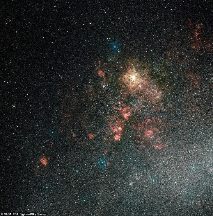 This ground-based view of the Tarantula Nebula shows the nebula in its entirety. It is the brightest region of star formation in the local Universe. Hubble's field of view covers just a tiny spot in the upper-right quadrant of this image, though it reveal