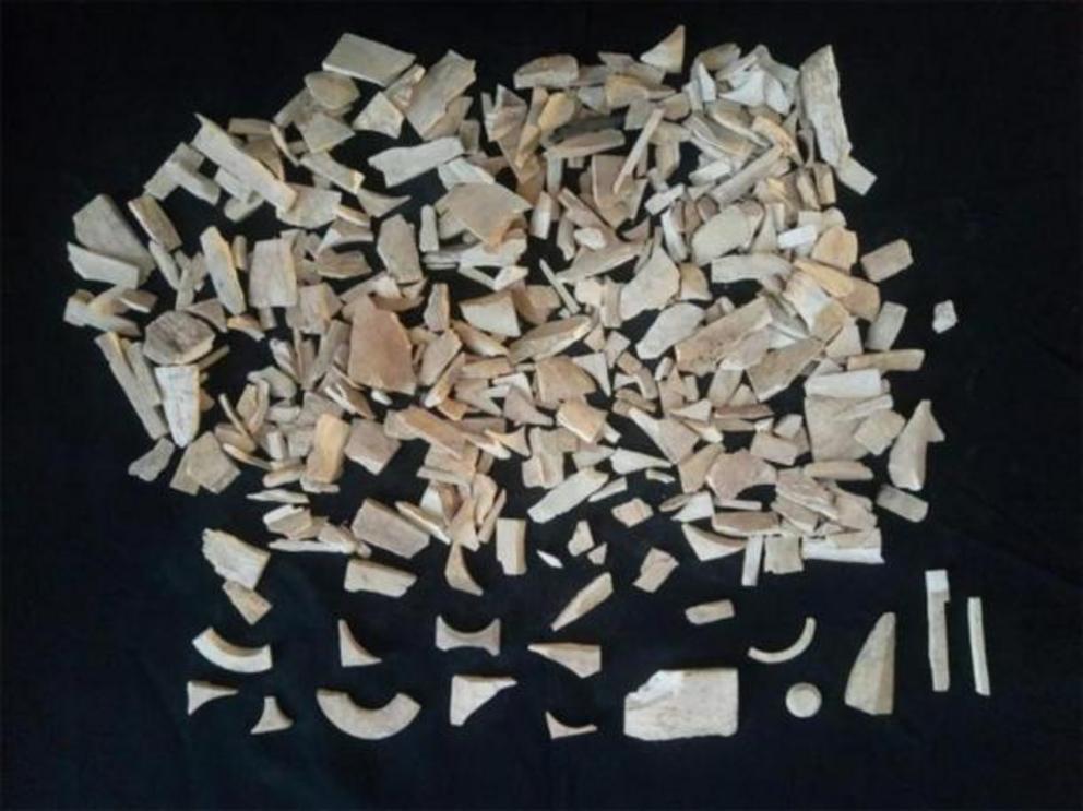 Some of the 40 kilograms ivory waste found at the Bhanbhore site.