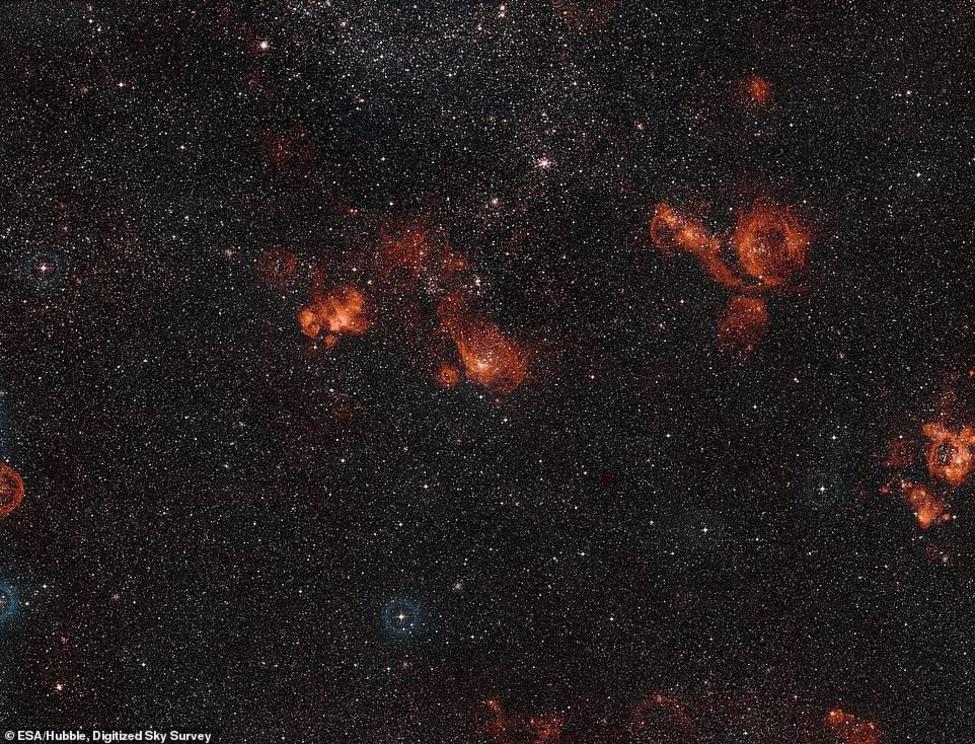 This wide-field view captures the pair of nebulae NGC 2014 and NGC 2020 in the constellation of Dorado. These two glowing clouds of gas, in the centre of the frame, are located in the Large Magellanic Cloud, one of the Milky Way's satellite galaxies