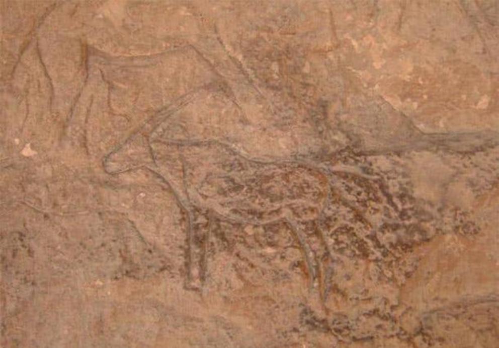 The carvings included animals such as camels, deer, mules, mountain goats and donkeys.