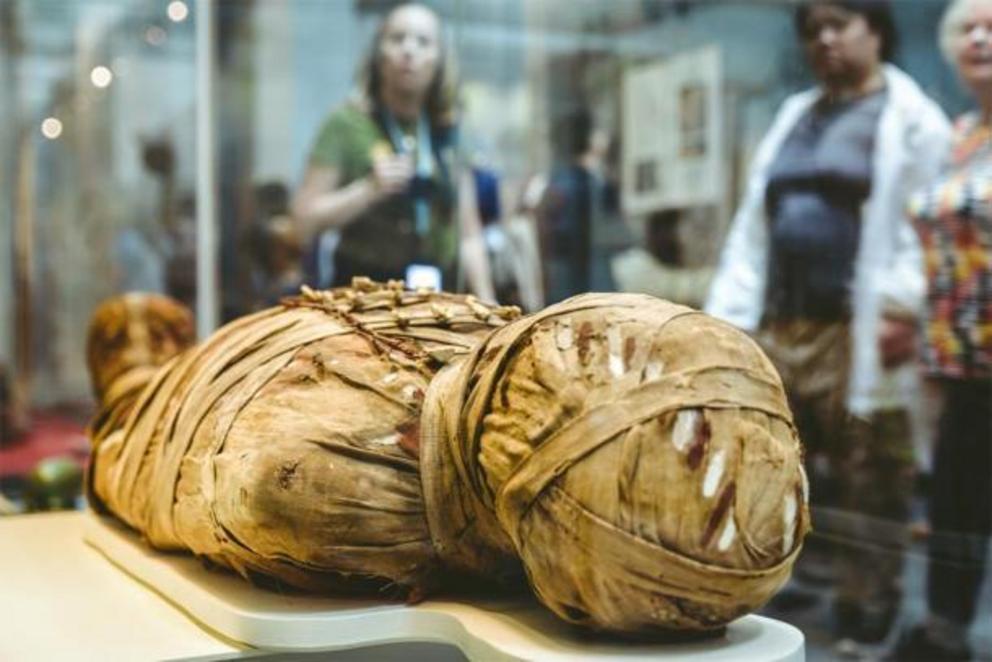 Ancient Egyptian mummy.