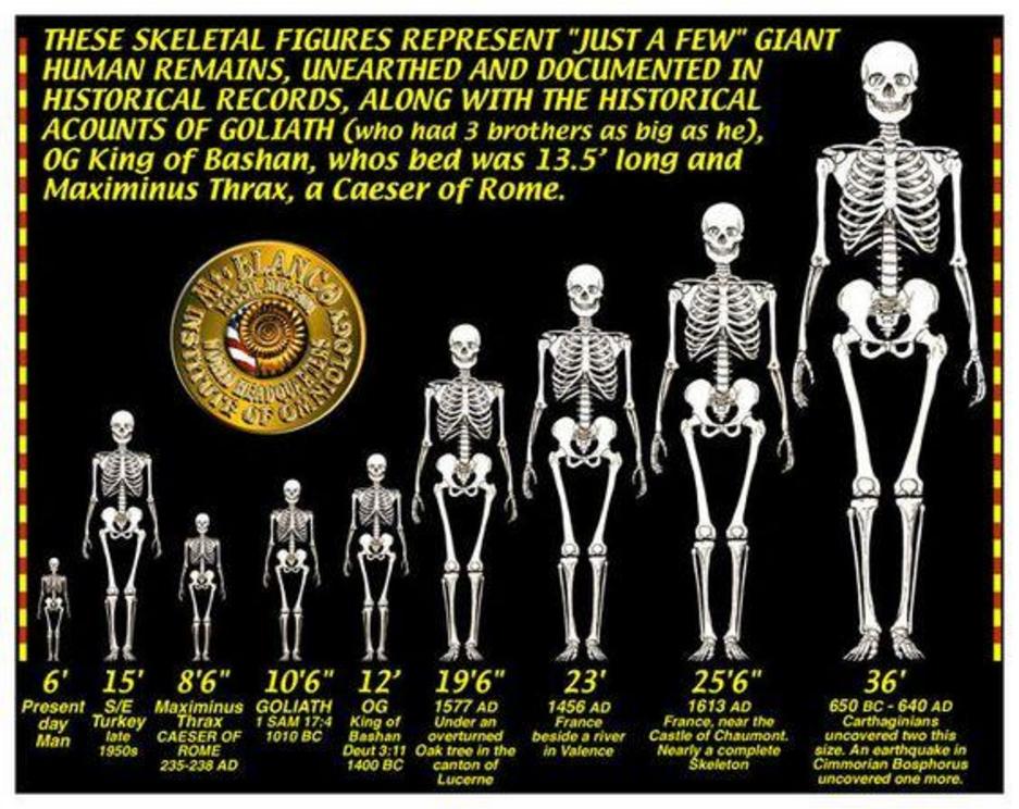 Ecuador Expose The Skeletons Of An Ancient Race Of Giant Humans 7