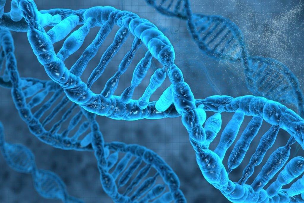 The Non-physical Properties Of Human DNA - Nexus Newsfeed