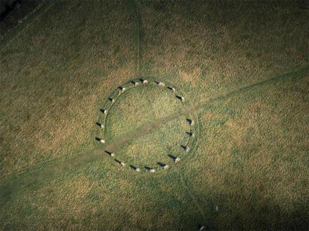 Merry Maidens is a perfect stone circle in Cornwall.