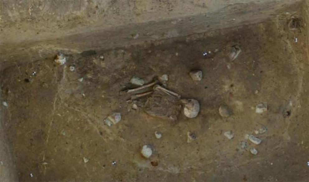 Archaeologists say the Neolithic skeleton was “lovingly buried.”