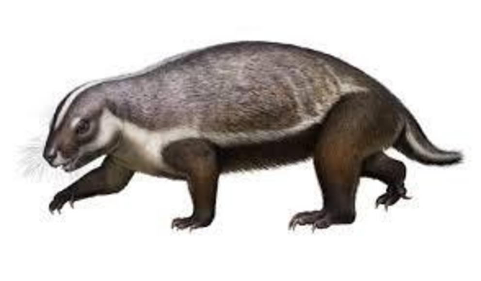 Artist's reconstruction.