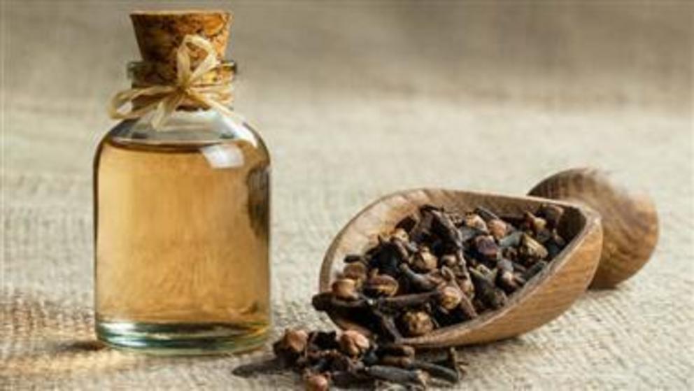 choose-clove-bud-oil-for-better-overall-health-nexus-newsfeed