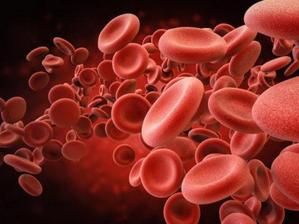 Illustration of red blood cells (stock image).  Credit: © phonlamaiphoto / stock.adobe.com