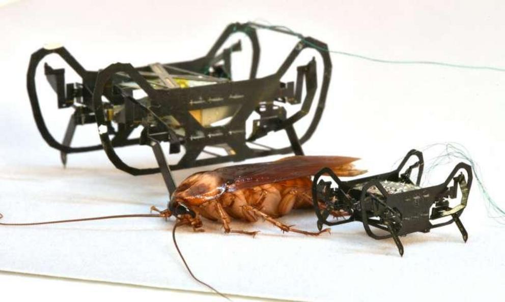 The newly designed HAMR-Jr alongside its predecessor, HAMR-VI. HAMR-Jr is only slightly bigger in length and width than a penny, making it one of the smallest yet highly capable, high-speed insect-scale robots.