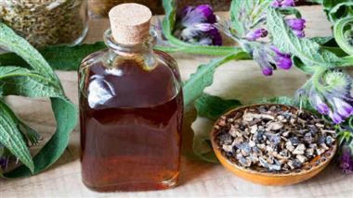 Benefits of comfrey oil outweigh its toxic effects - Nexus Newsfeed