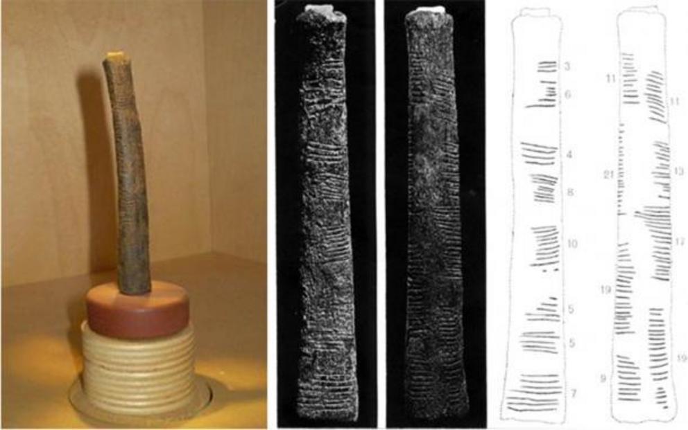 Left; Ishango bone on display at Royal Belgian Institute of Natural Sciences. Right; De Heinzelin’s detailed drawing of the Ishango bone. Researchers have presented various hypotheses to explain its use.