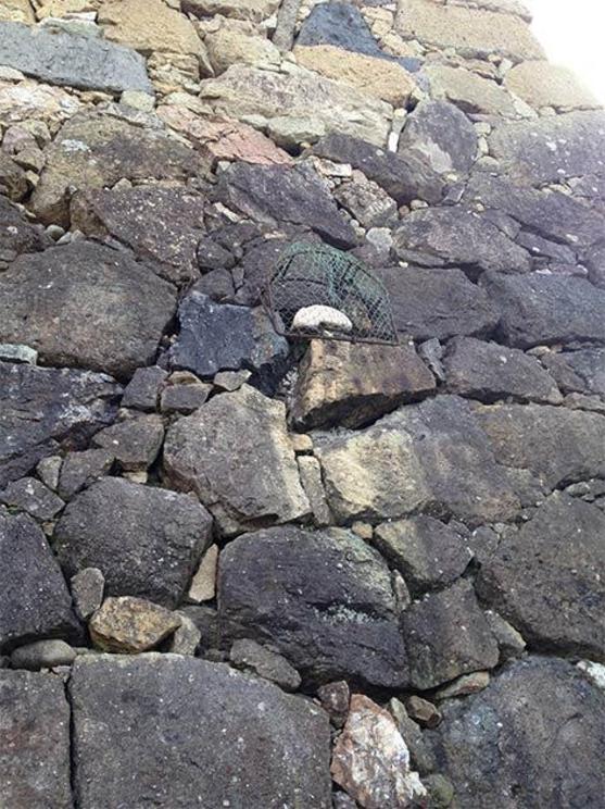 Ubagaishi stone in a wall at Himeji Castle