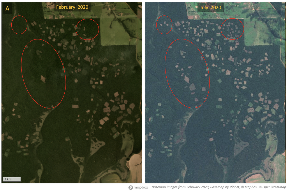 Satellite imagery shows a surge in clearing activity since the operation in February.
