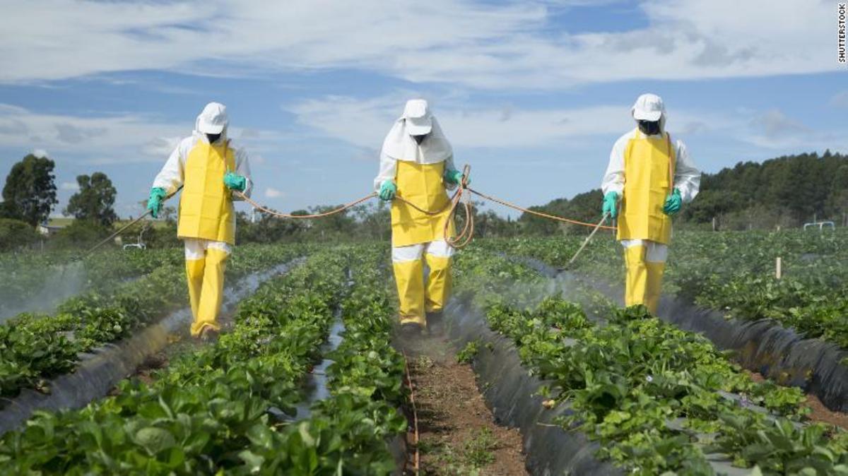 Are Pesticides All Synthetic Chemicals