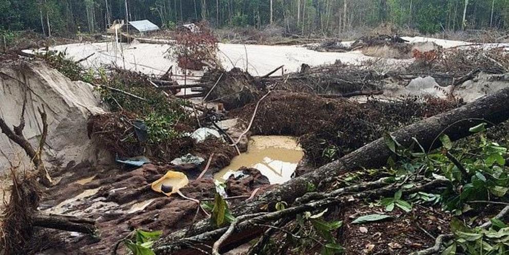 In addition to inhibiting new tree growth, the team found mercury runoff from mining sites was a threat to local food and water supplies