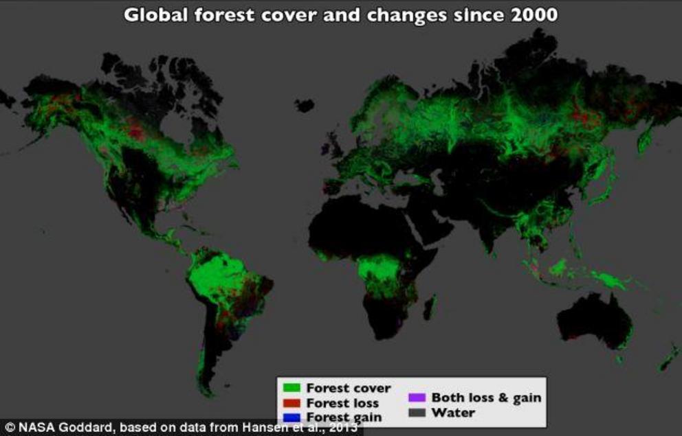 Using Landsat imagery and cloud computing, researchers mapped forest cover worldwide as well as forest loss and gain. Over 12 years, 888,000 square miles (2.3 million square kilometers) of forest were lost, and 309,000 square miles (800,000 square kilomet