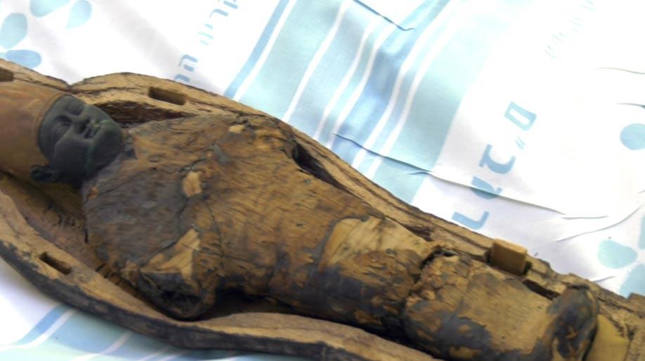 CT Scan Reveals 3,000-year-old Non-human Egyptian Mummies - Nexus Newsfeed