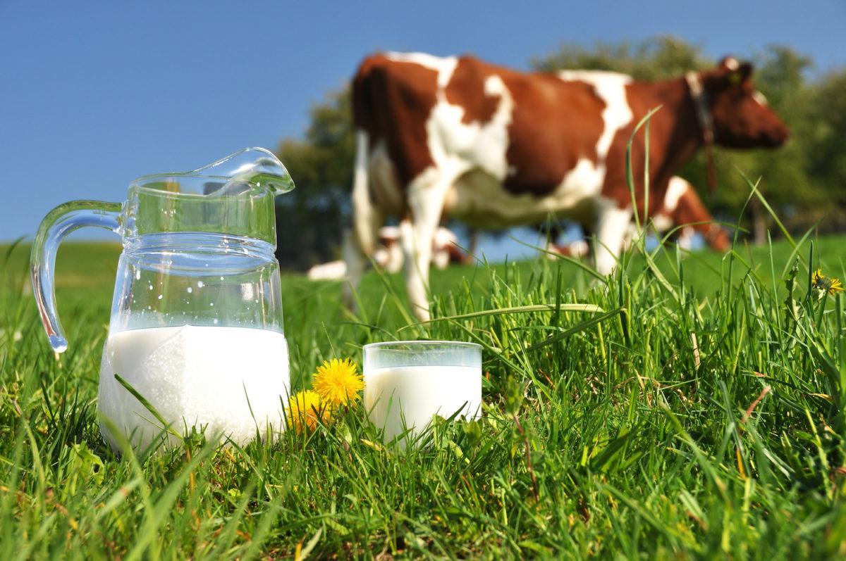 non-organic-cow-s-milk-found-to-contain-toxic-chemicals-like-pesticides