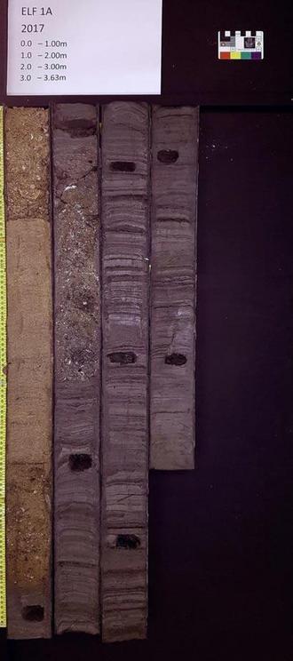 The sediment of which the sedaDNA was studied.