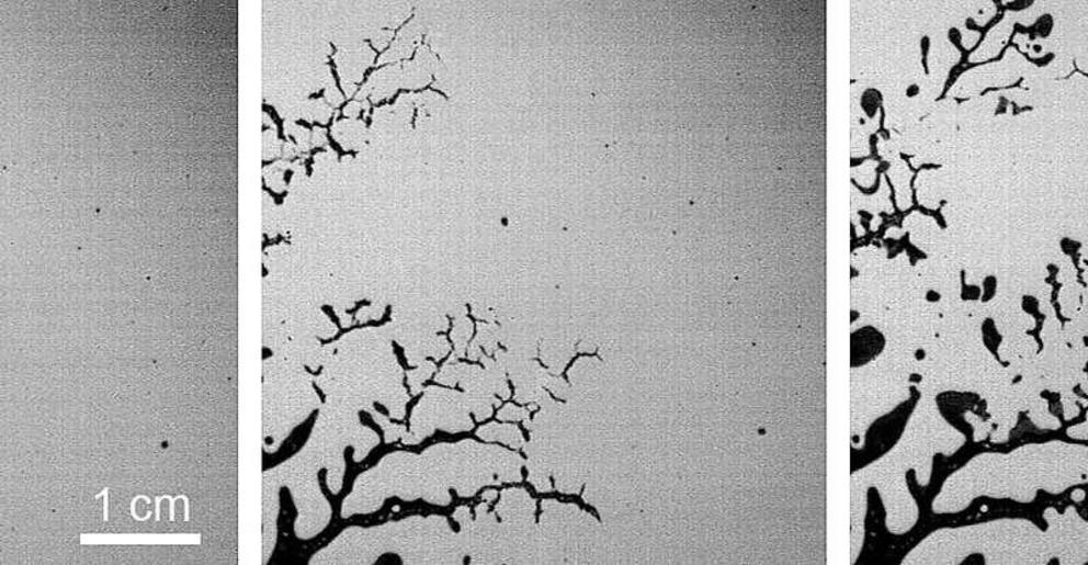 Three consecutive frames from the high-speed camera as air is forced into the corn starch suspension. Abrupt shear thickening makes it fracture like a solid. The suspension 