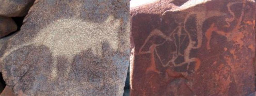 Aboriginal art in the region (Burrup rock art).