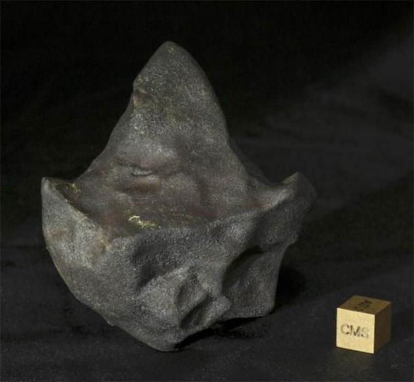 An unusual arrowhead-shaped meteorite from the Aguas Zarcas fall. This sample belongs to private collector, Michael Farmer.