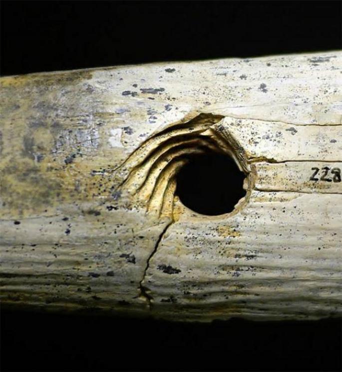 Close up of the mammoth bone rope making tool showing the precisely cut spiral incisions.