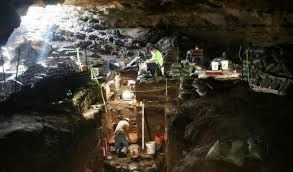 Workers excavating Hall's Cave in Central Texas Credit  Mike Waters/Texas A&M University