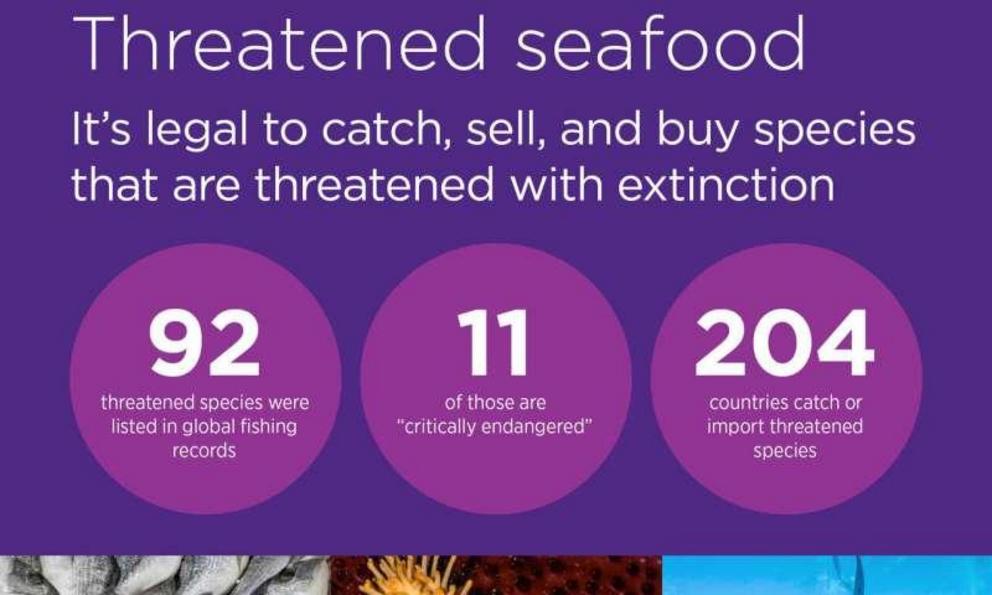 91 threatened fish and invertebrae species recorded in global catch data from 2006-2014.