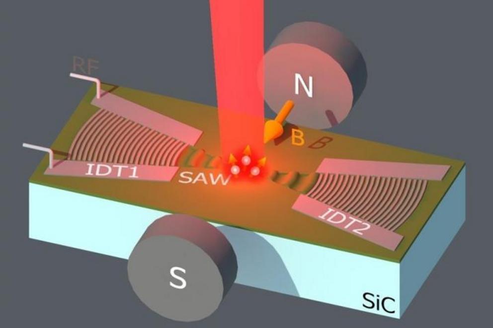 Surface acoustic waves (SAW) generated by radio-frequency signals applied to interdigital transducers (IDT) control the spin states of optically active color centers in SiC. The coupling strength depends on the spin projection direction of the color cente