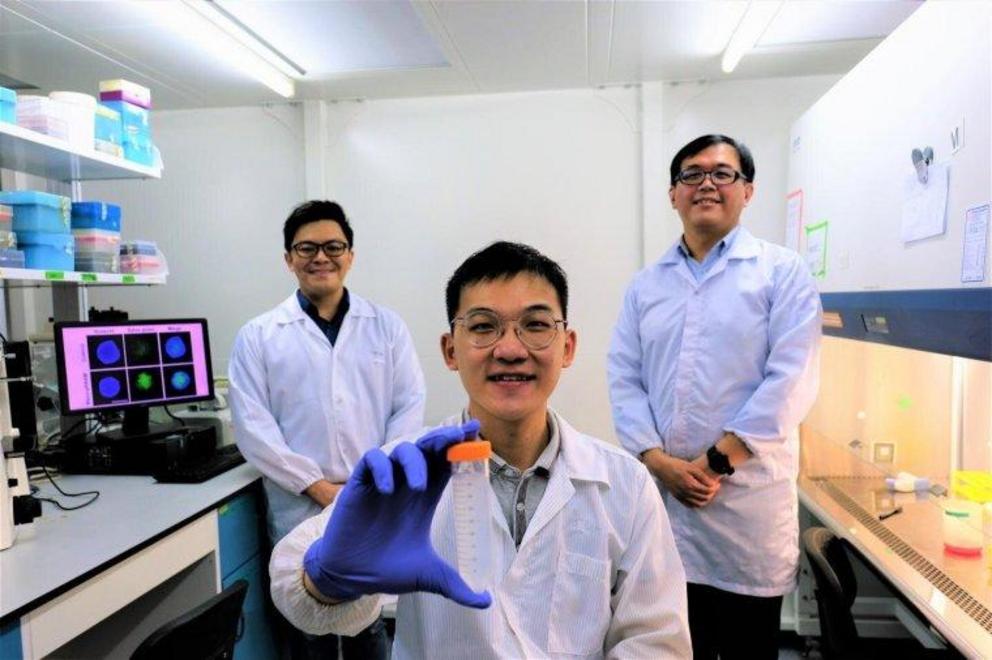 (Left to Right) Members of the NTU research team include Assistant Professor Dalton Tay from the School of Materials Science and Engineering, Research associate Kenny Wu and Associate Professor Tan Nguan Soon from the Lee Kong Chian School of Medicine. Cr