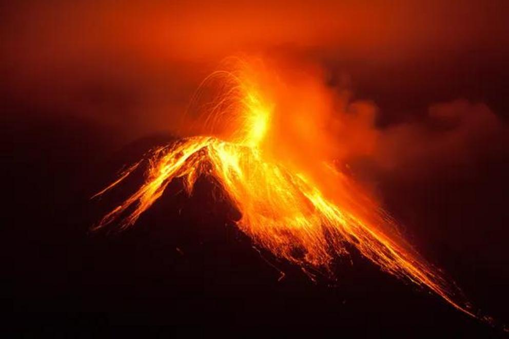 Huge volcanic eruptions changed life on Earth 233 million years ago.