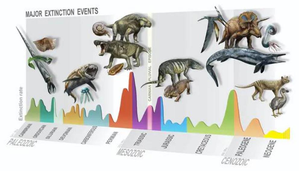 A timeline of mass extinction events.