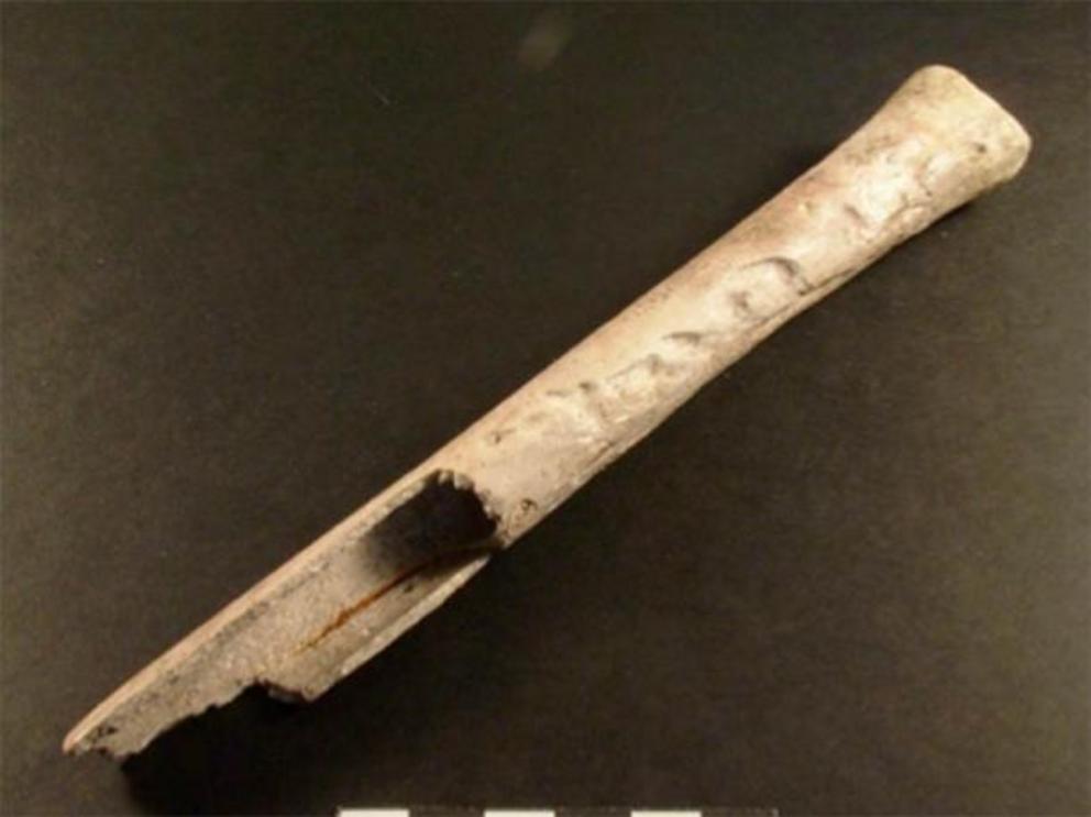 A human femur turned into a musical instrument, found in Wiltshire