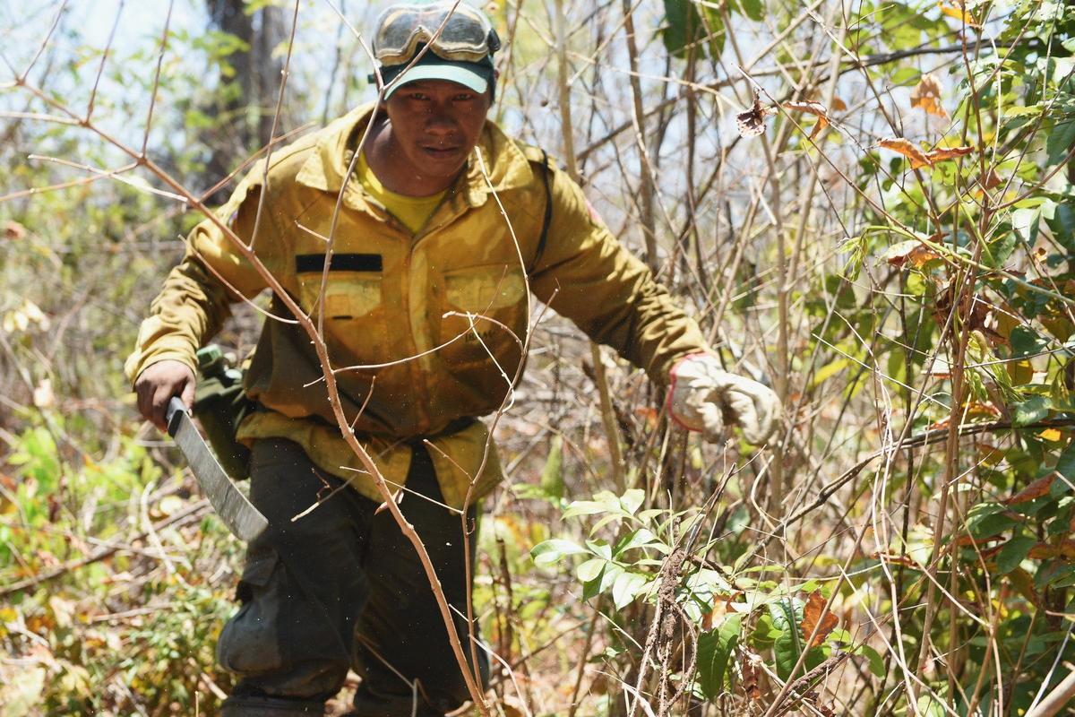 As Brazil Burns Indigenous Fire Brigades Face An Uncertain Future Nexus Newsfeed