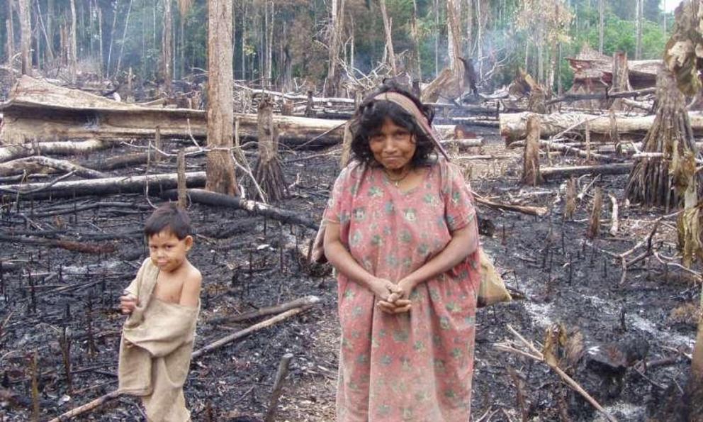 A Tsimane woman and her grandson walk through a recently burned garden, as part of the slash-and-burn cycle of Amazonian horticulture.