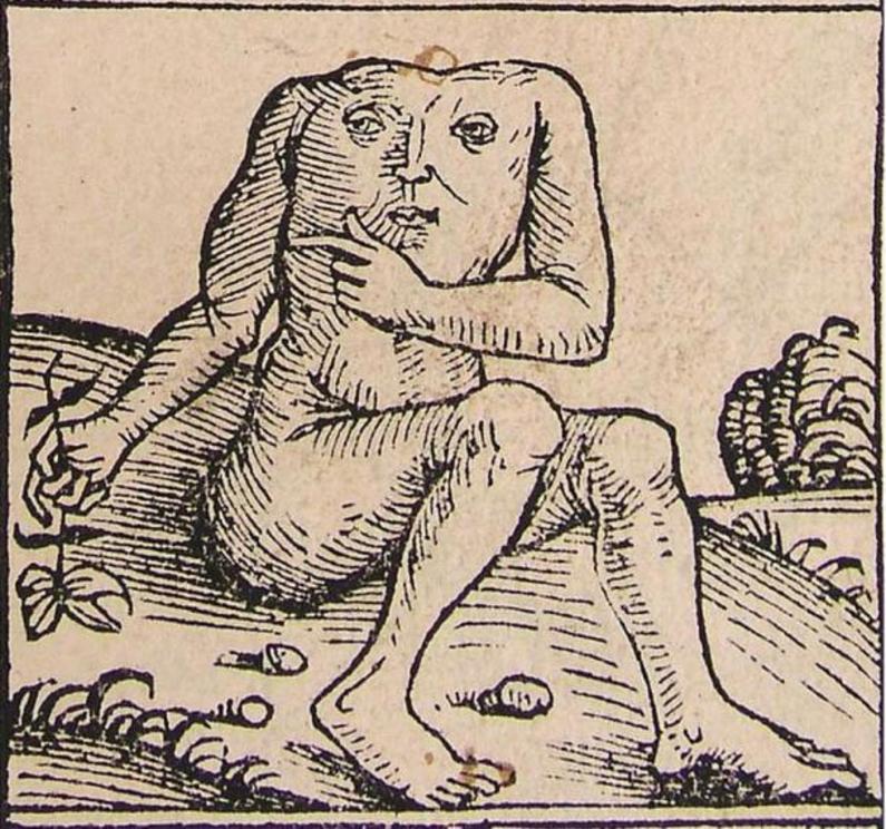 A Blemmye from the Nuremberg Chronicle , 1493.