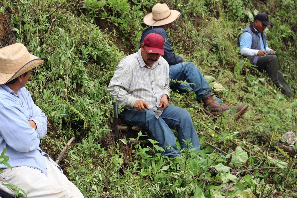 The community members of Nuevo San Juan complete faenas, unpaid work for the forest.