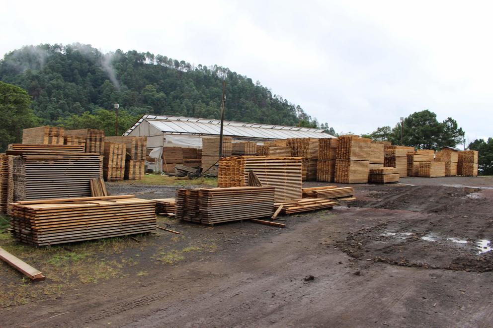 Timber processing facilities.