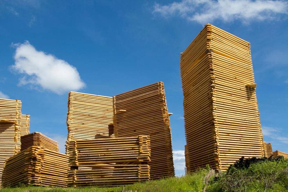 The community produces around 65,000 cubic meters (2.3 million cubic feet) of timber.